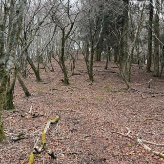 歩めども歩めども