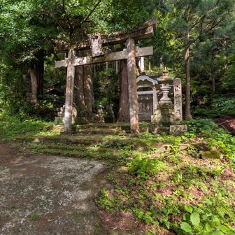 お社すぐに登山口があります