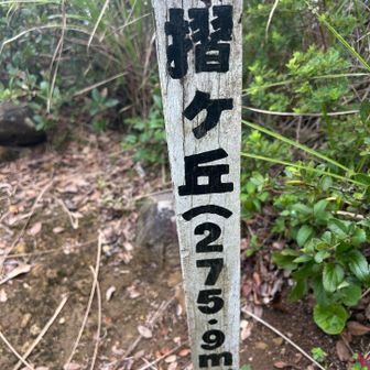 あっというまに到着⛰️
