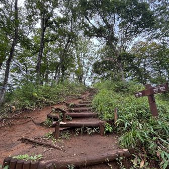 陣馬山手前まできた〜
