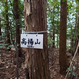 9座目とうちゃこ