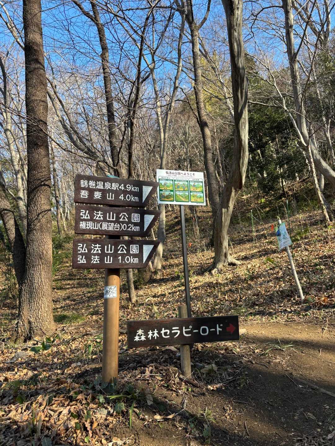 よく整備された気持ちの良いハイキングコースです
今日も大勢のハイカーで賑わっていました