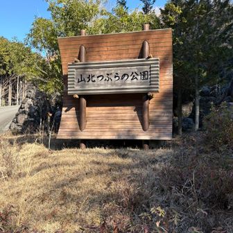 山道を登り、山北つぶらの公園に駐車