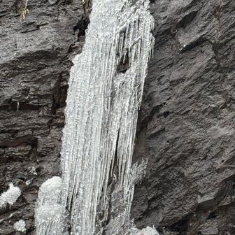 アレにウィスキー🥃を垂らして
下で受け止めたい🤤