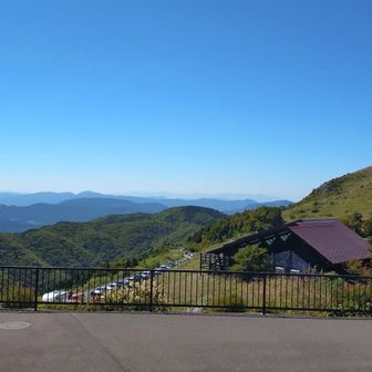 遠くまで良く見える。