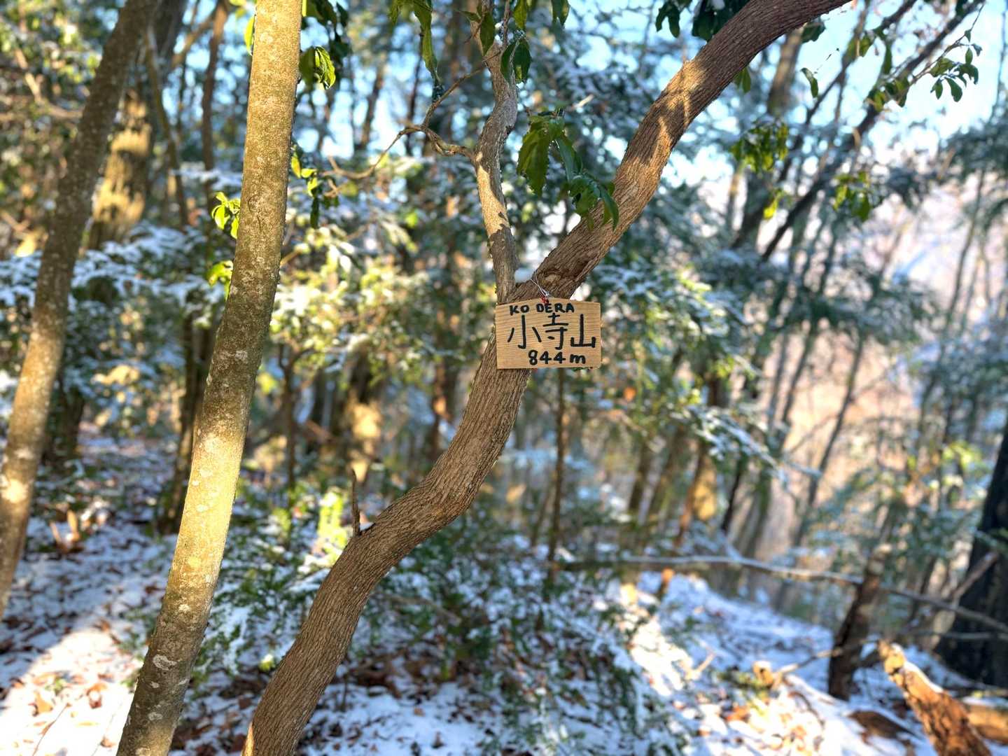 YAMAPには無い山頂標識🏔️