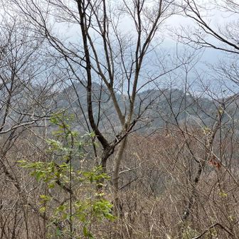 下山中に見えた、虎丸山までの3つのピーク⤴️