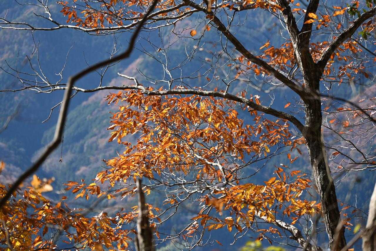 この空気感が好き
