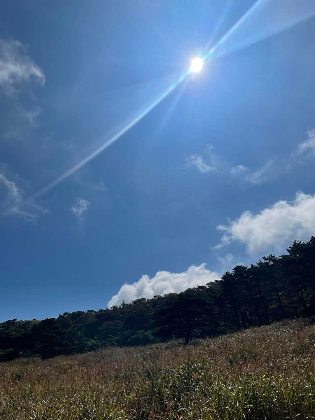 甑岳の火口湿原に到着する頃、急に快晴☀️