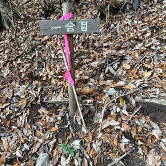 道も整備されていて歩きやすく、表示もあります。