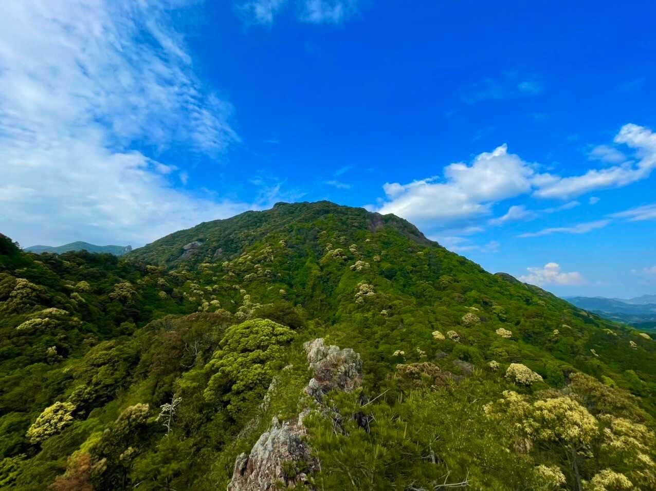 英山の写真