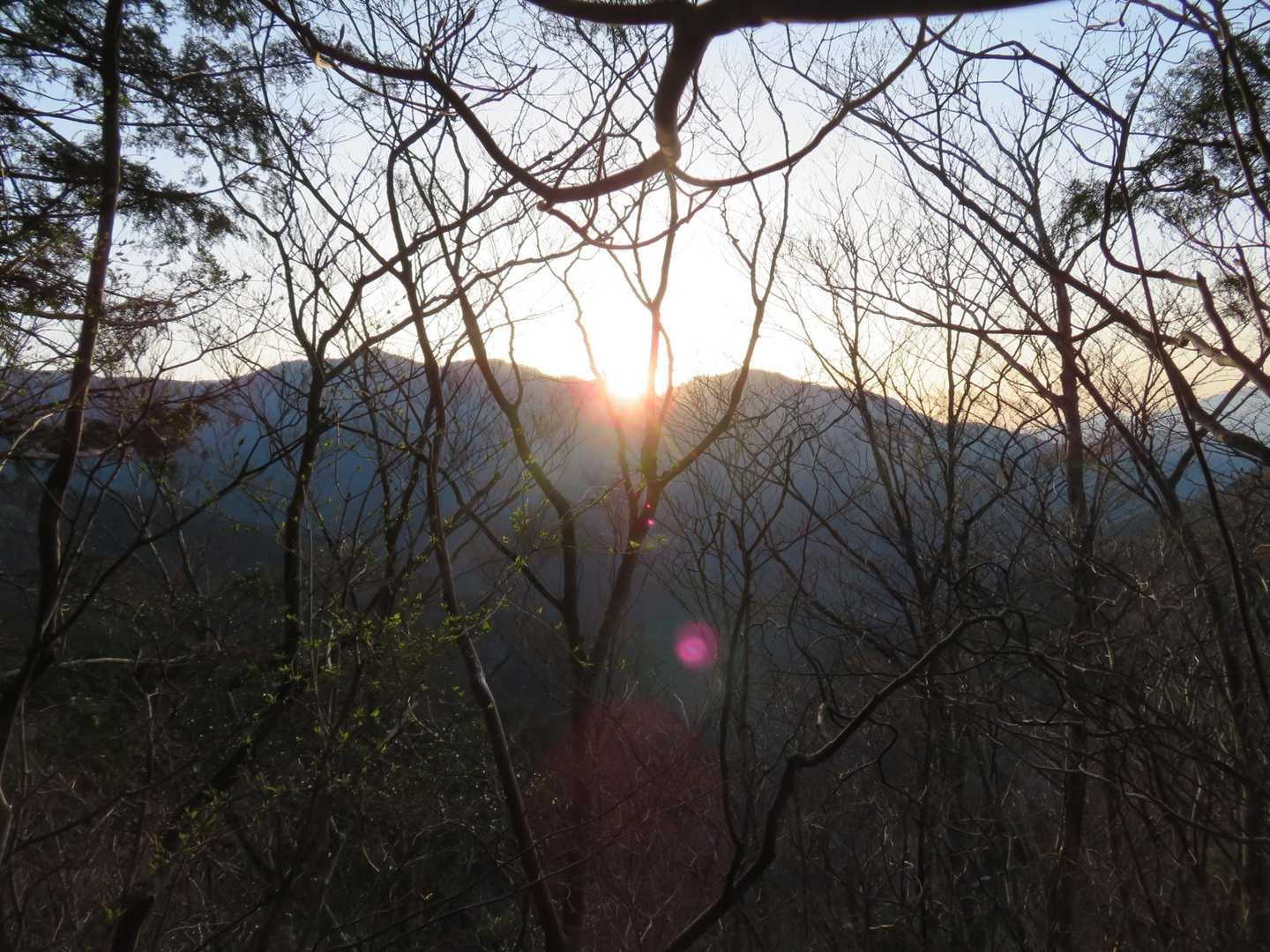 朝日🔅が眩しい