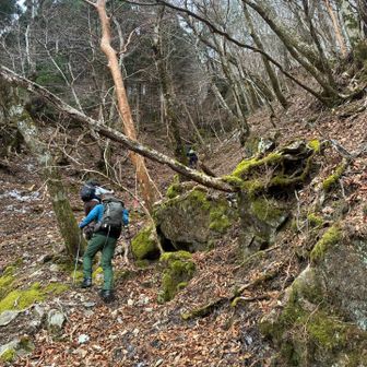 でもやっぱりこの斜度はキツいよ💦
谷を歩きはやおいかん