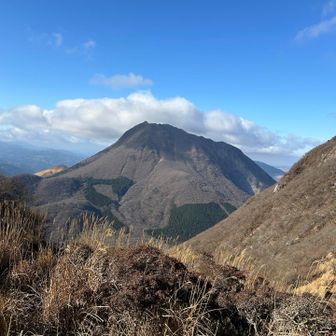 かなりハードな登山道を越えると、いつもの鶴見岳の雰囲気に。
鶴見岳山頂付近からの由布岳⛰️