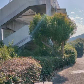 おらが茶屋、土日祝しか開いてないのでいつも行けない😓