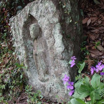 石仏像の脇にダイコンバナ