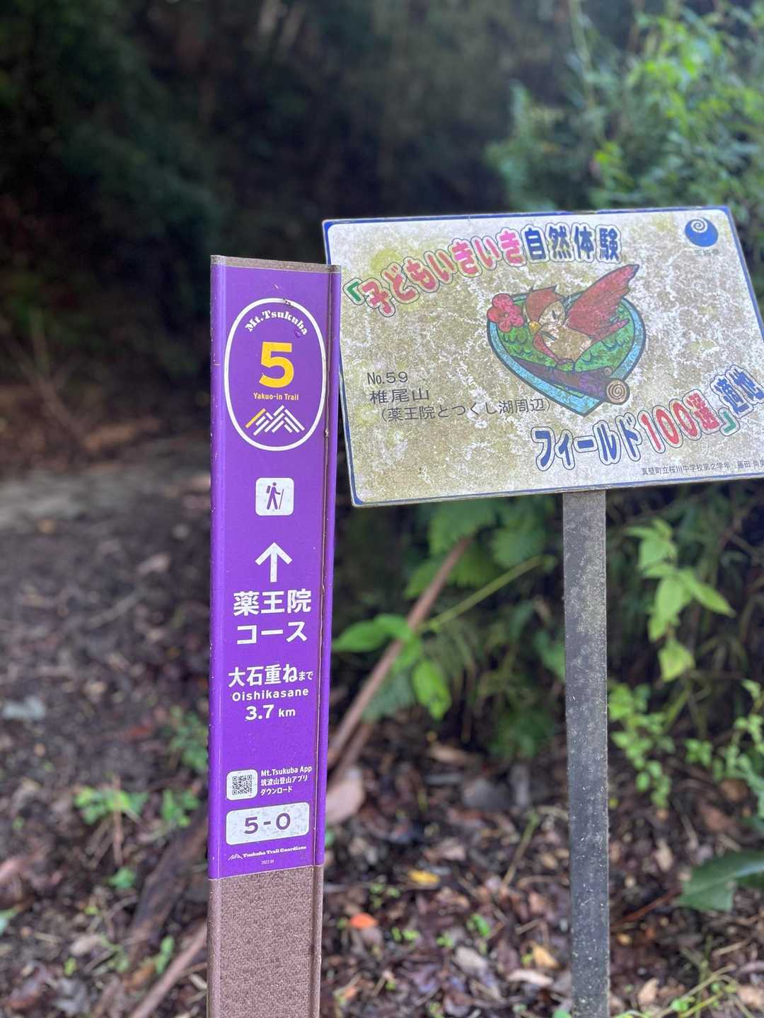 私の苦手な薬王院コース

今日はつくし湖の辺りに車を停めました
いつもなら空いてない程なのに、下山した人が帰った駐車スペースに停めることが出来ました

ラッキー ( ¨̮⋆)ﾗｯｷｰ✌️