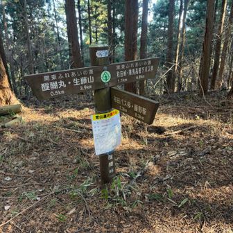 醍醐峠に降りて…