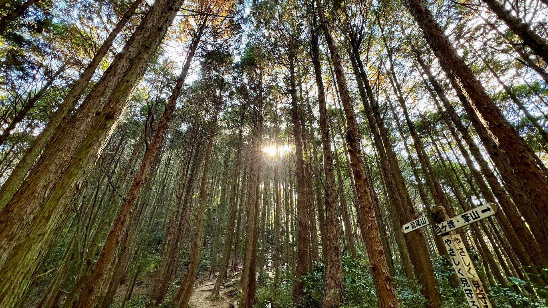 天気も良く輝いてる