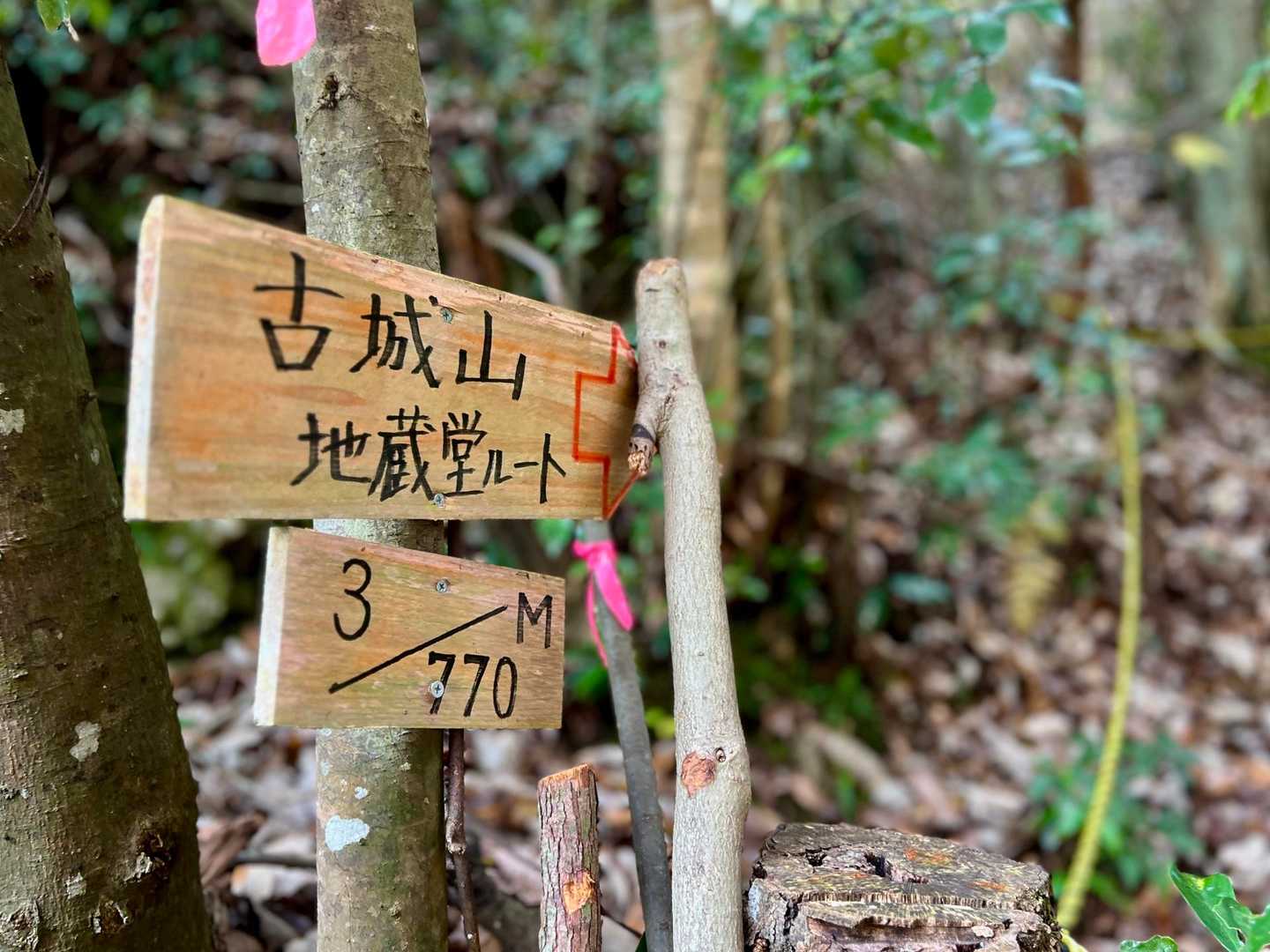 こちらから登ります！