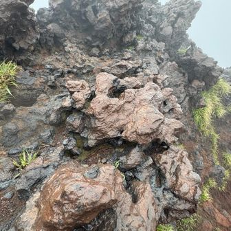岩が怪獣みたい