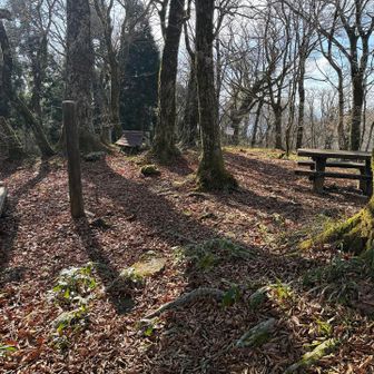 山頂は休憩場所には困りませんが、木々に覆われて眺望はイマイチですね
