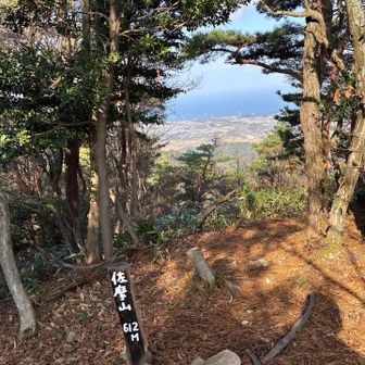 とりあえず佐摩山に到着！。一部だけですが眺望が開けてます！