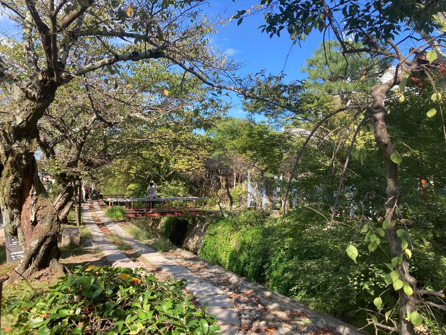 哲学の道も秋晴れで気持ちよかったです✨

明後日は北山エリアの山に関西で活動されだしたあるYouTuberさんとコラボ登山してきますー☺️