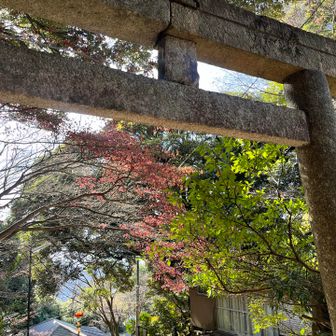 御幸ケ原コース登山口