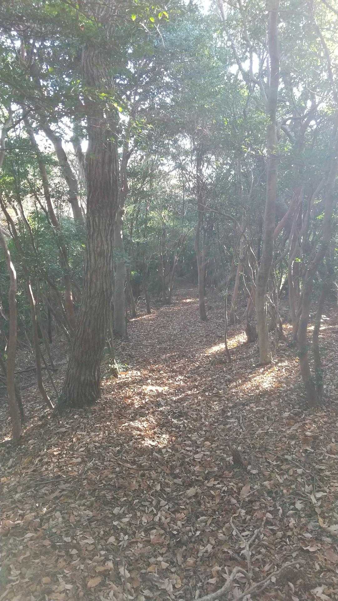 この感じ…好き