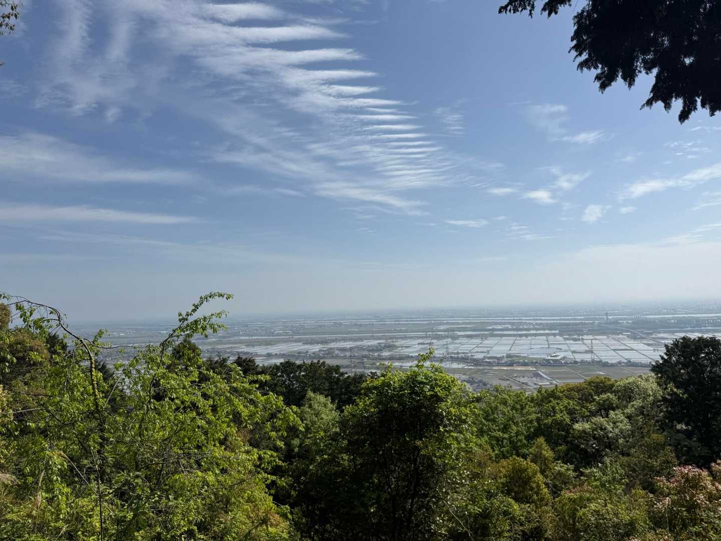 大門橋バス停-多度大社前バス停-多度大社-多度山道入口-多 周回コースの写真