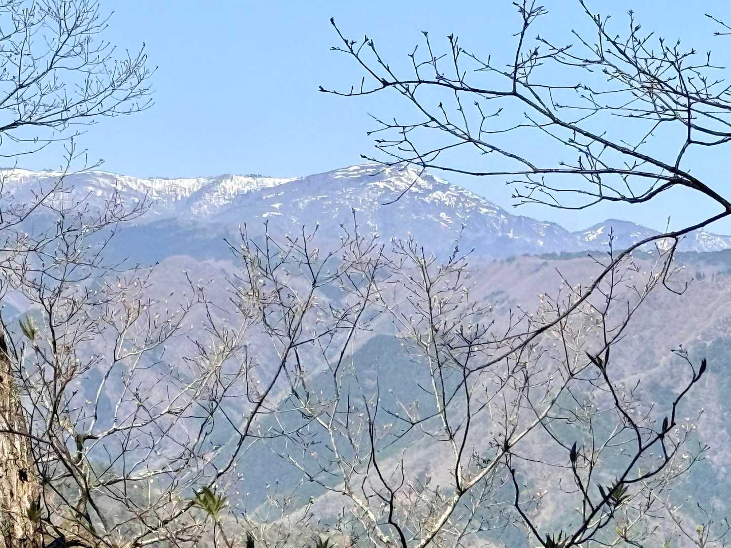 わっ✨氷ノ山🏔
5月くらいまで雪残ってそうやね