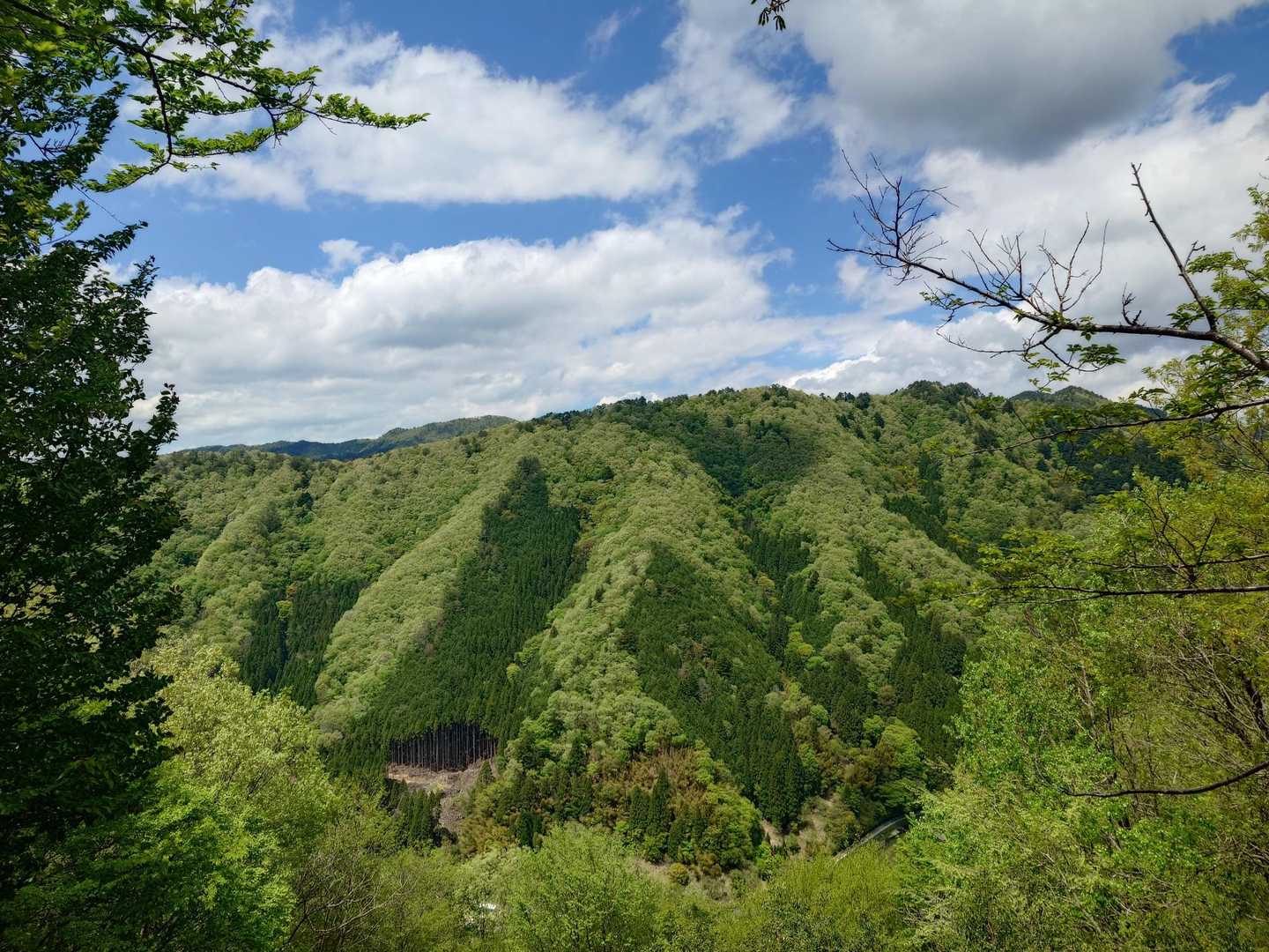 長老ヶ岳 周回コースの写真
