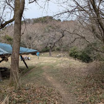 見えてきた！
エイド🤩
コーラとお菓子を頂きました😆
ありがとうございます✨
