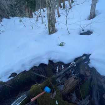 駐車場で用意をしてると年配の人が後ろに駐車、、見た顔だって挨拶される、、あれ、銀爺さんか？

まるで自分の娘のように山を慈しむ爺さん、、御年81、、自慢するように、、ってか自慢げにオレは81歳だと胸を張る


今日は迷ったがスパイクの付いてない素の長靴をチョイス、ワカンを背負ってスタート、、

水を忘れたんでここで補給