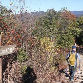 こちらのコースで下山