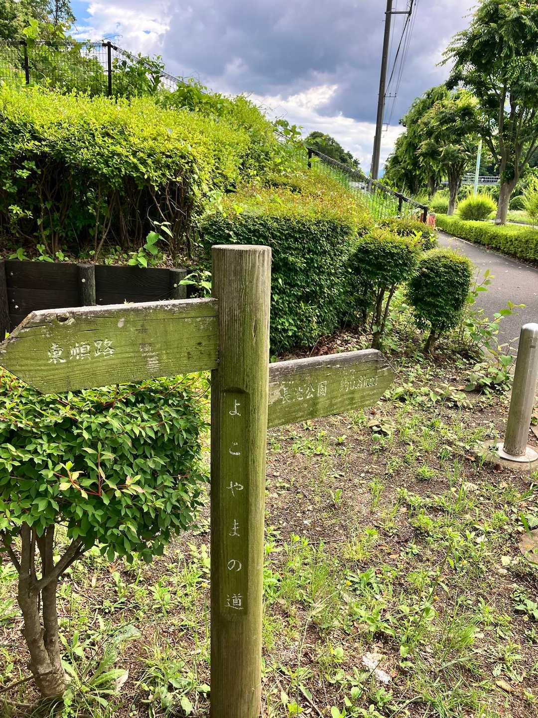 到着！！お疲れ様でしたー！さあ南大沢駅まで歩こう。今回は長池公園経由ではなく尾根幹沿いの道経由で帰ります。もうコジュケイダッシュ🦤💨はこりごりですので笑

読んでいただきありがとうございました😊