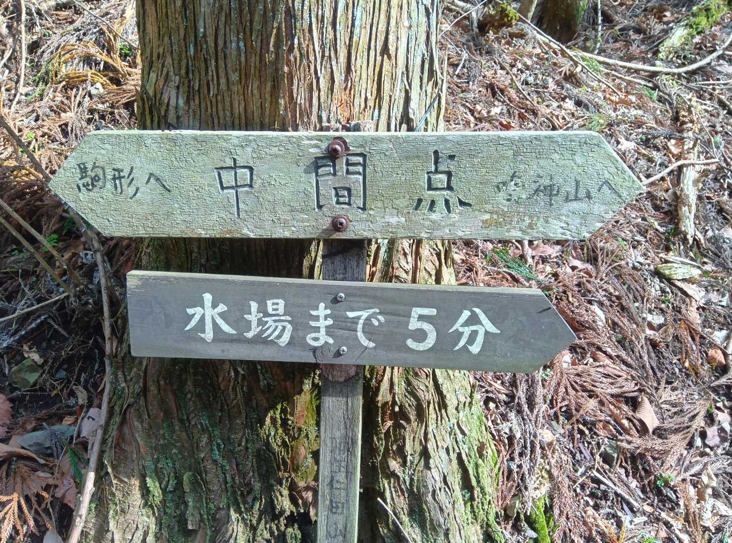 頂上までの中間地点
5分先に水場ありの標識