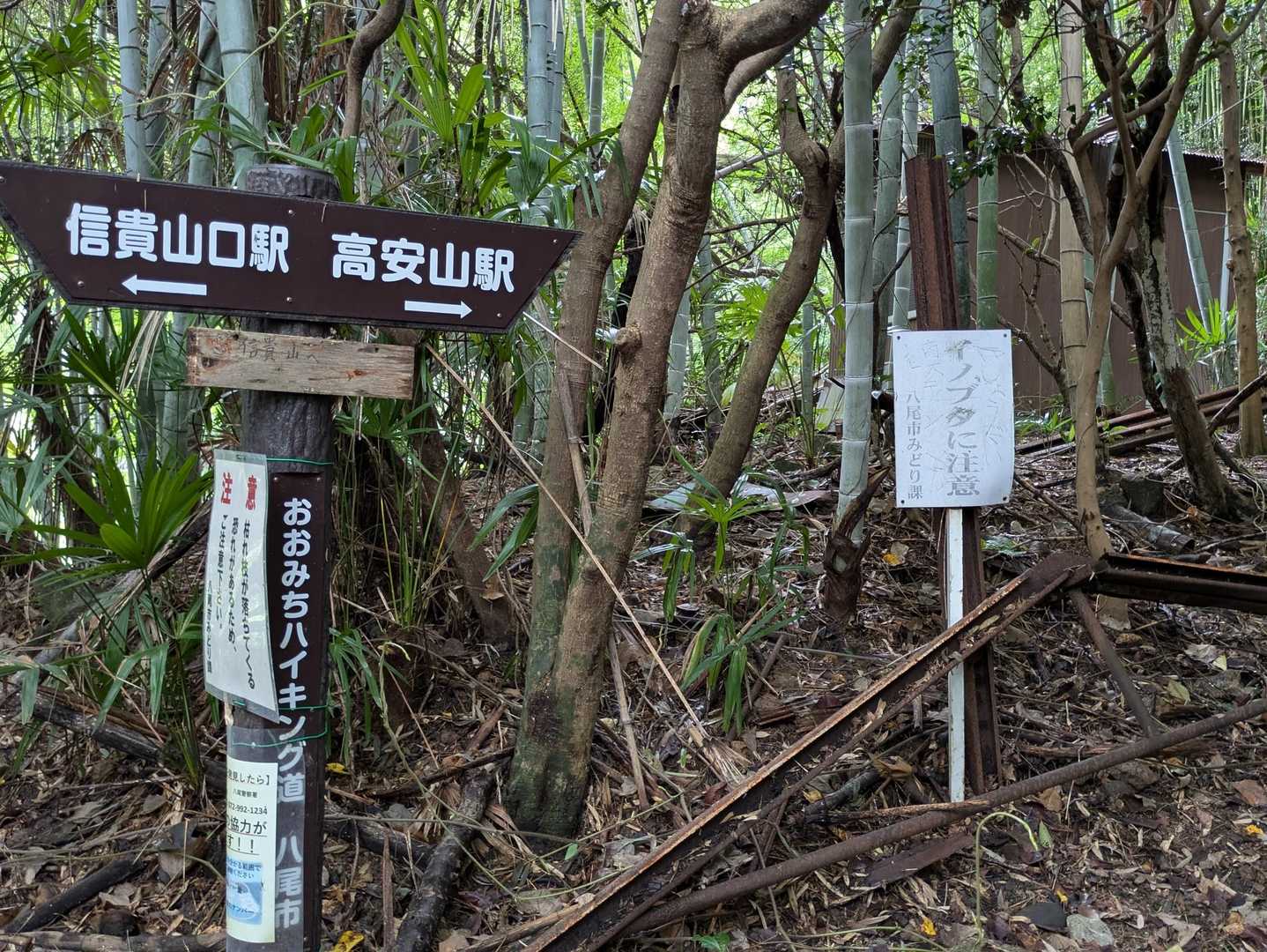 ひたすら急登です🥵