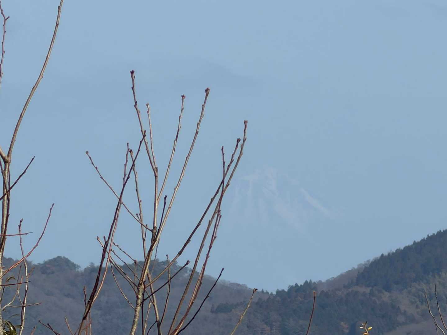 写真ではわかりにくいけど雪をかぶった大山が見えました