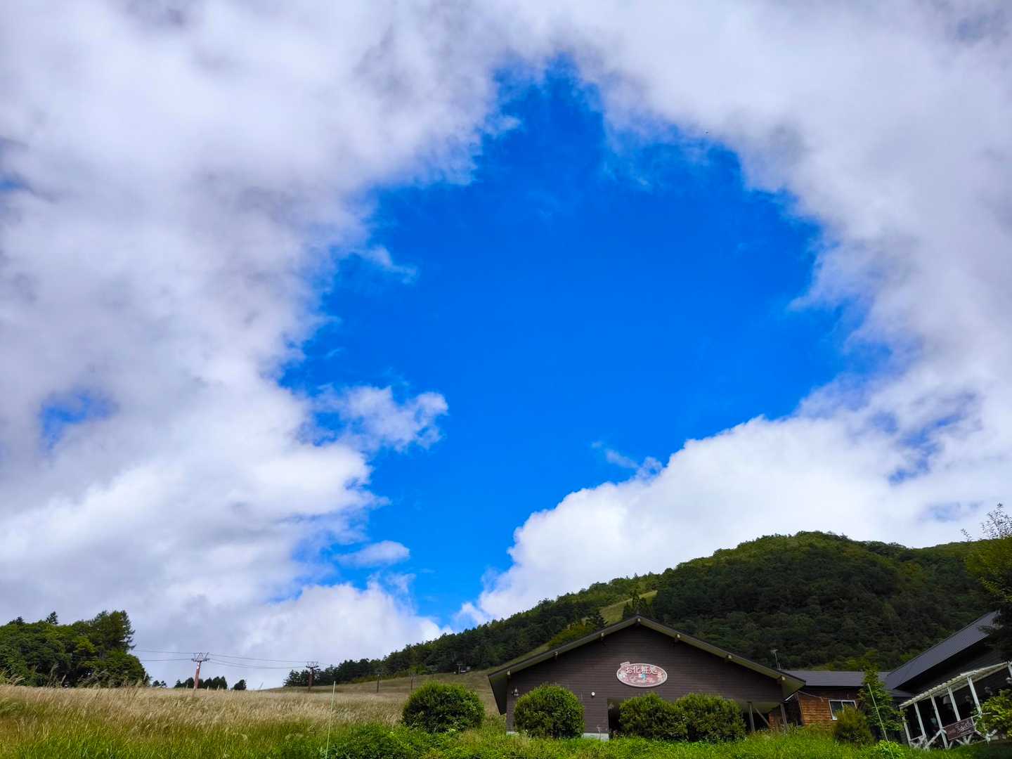 一の鳥居苑地-一ノ鳥居登山口-飯縄山 縦走コースの写真