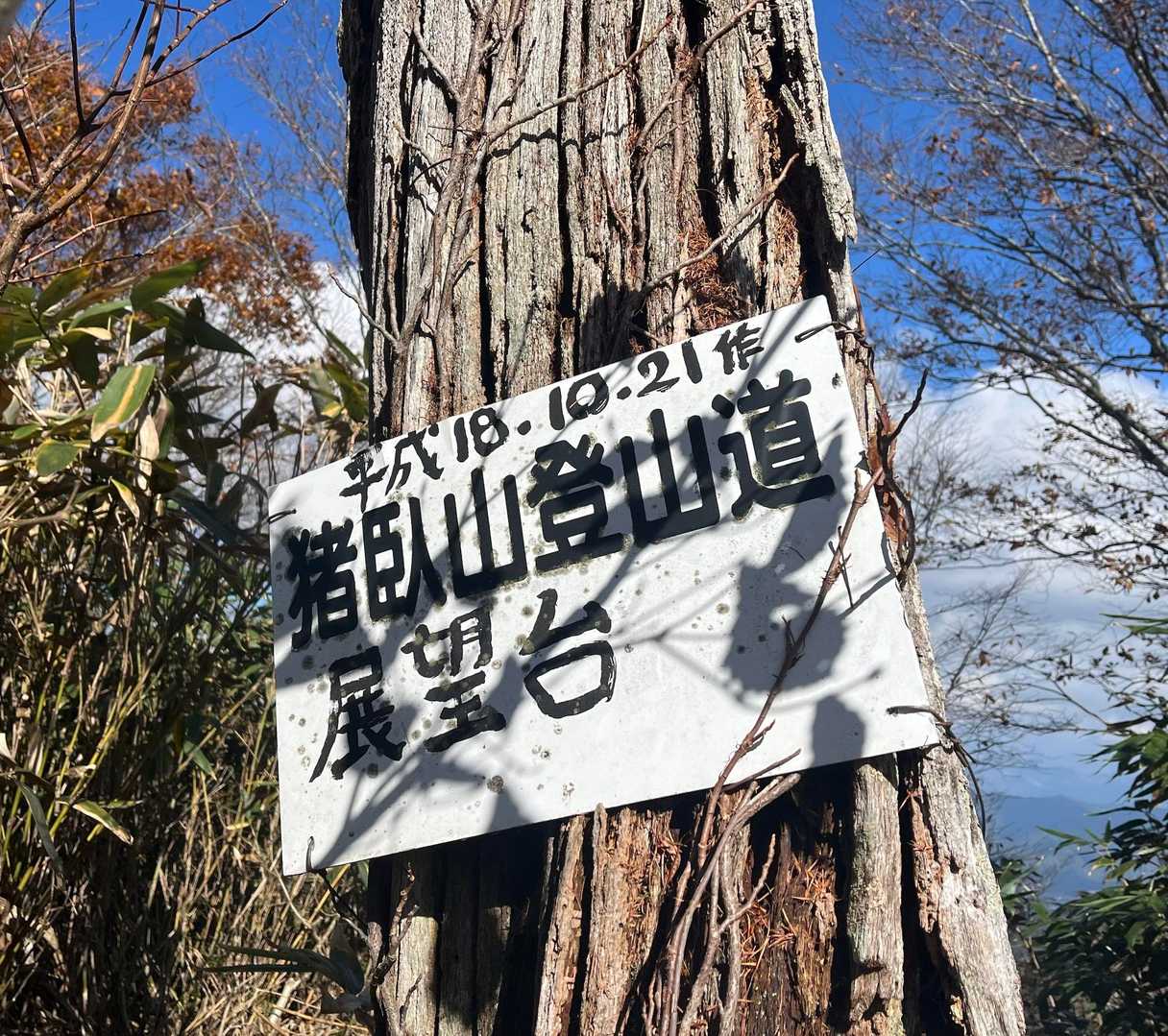 途中、展望台にとうちゃこ〜❗️