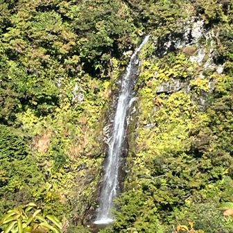 滝見で滝の音を聞く