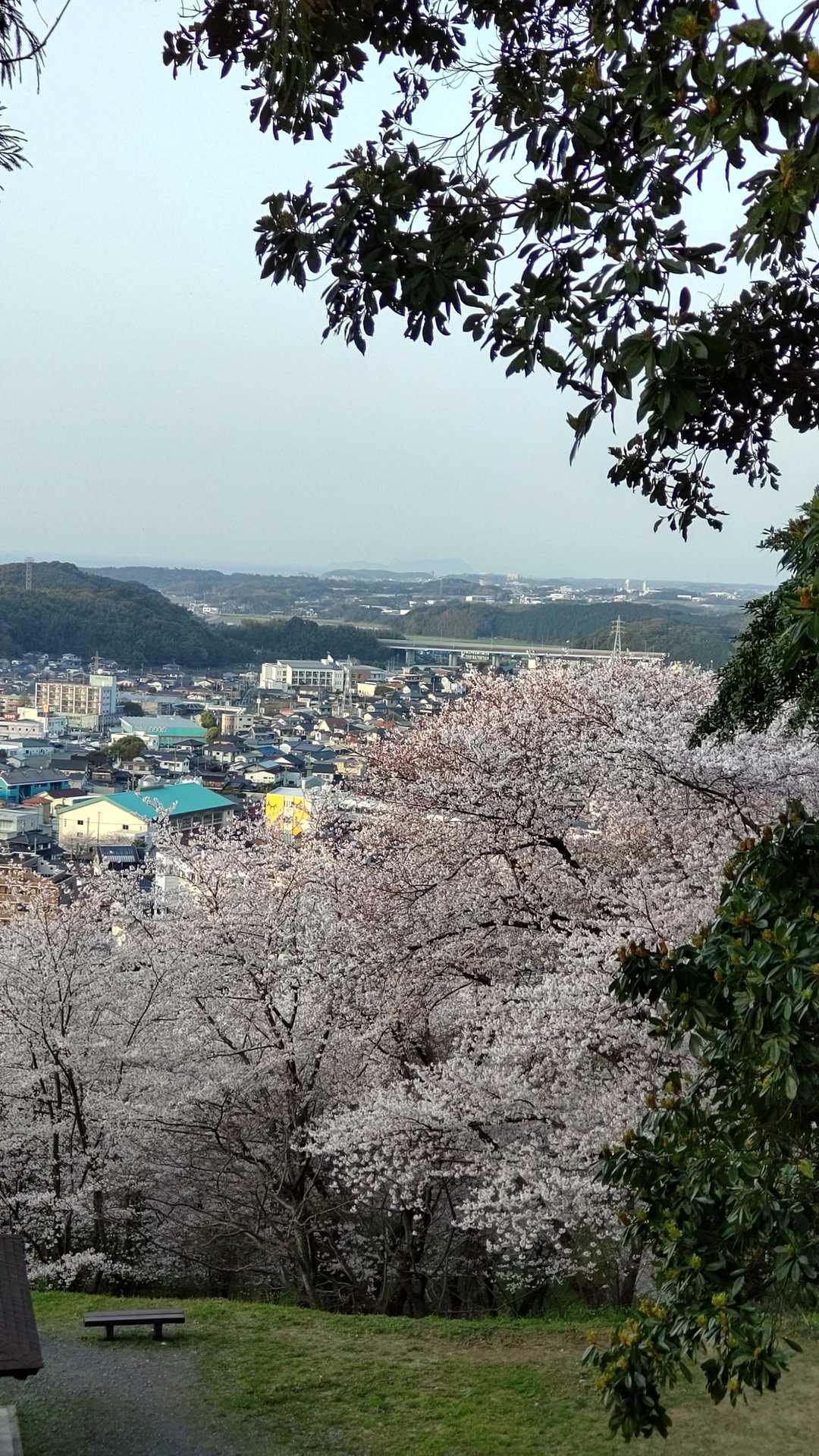 岡垣の町です(*^-^*)
本当は、遠くに海が見えますが、写真では見えないですね(:_;)