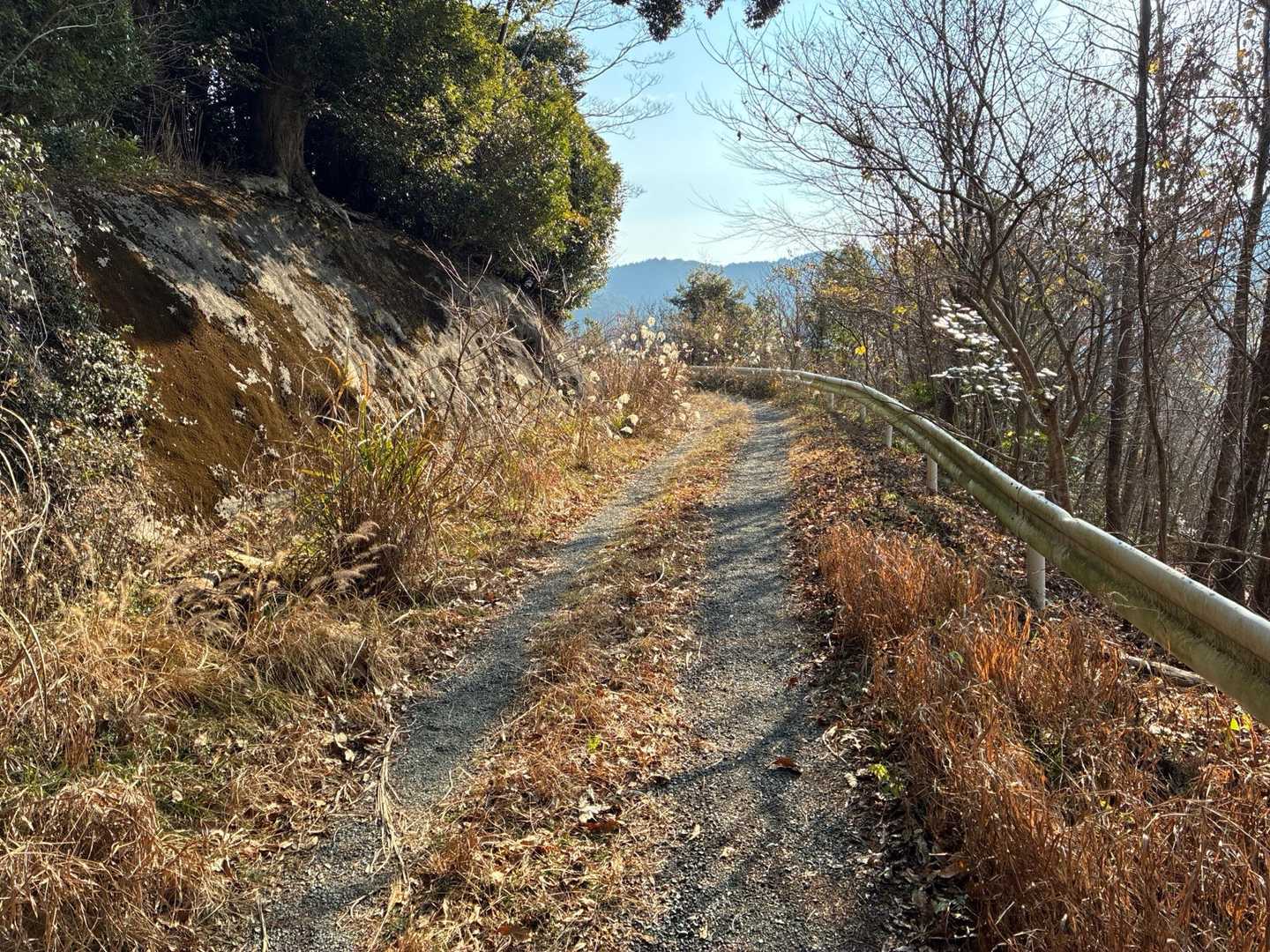 おひさまが出てきて
明るくなってきました