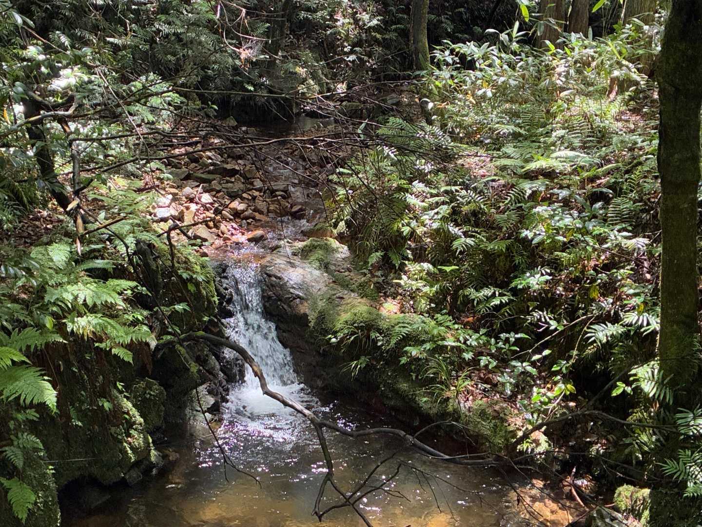 天狗山登山口-天狗山 往復コースの写真