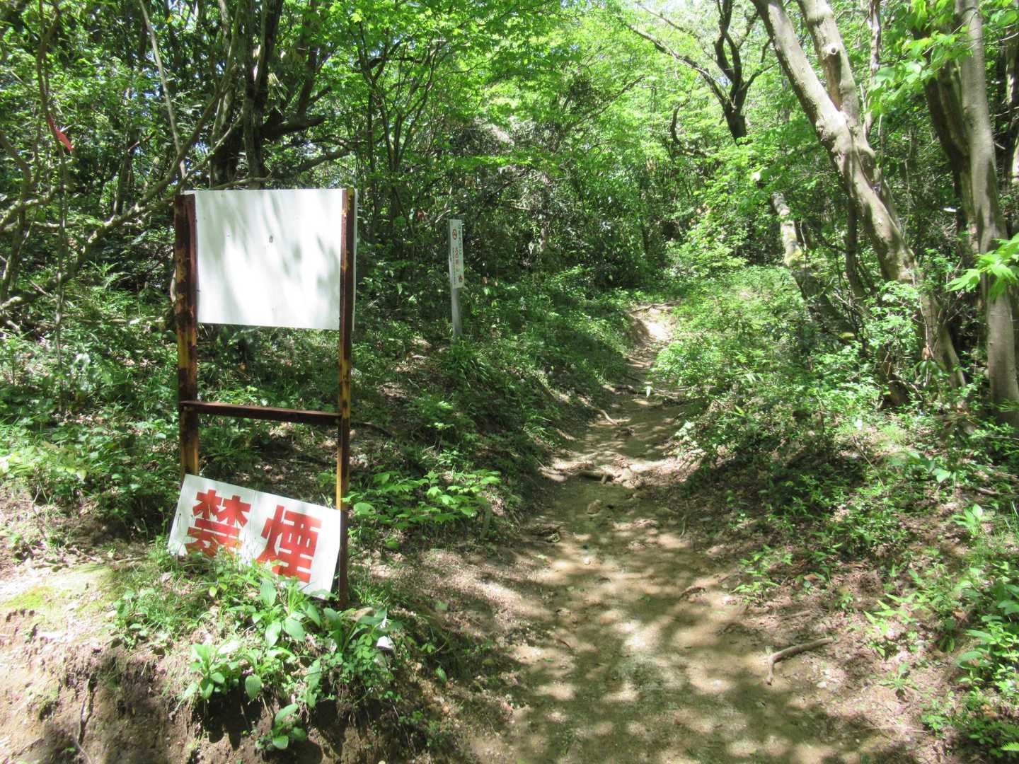 出会いから左手へ：：：