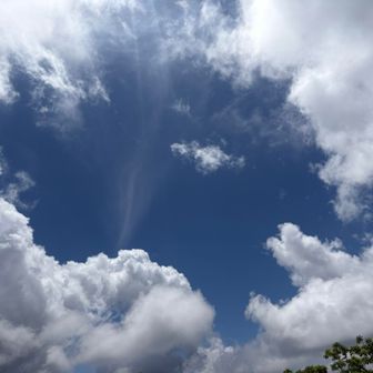 空がきれい　夏みたい🌻