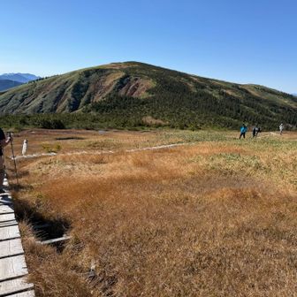 平ヶ岳ピーク取りに行きます