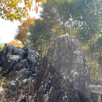 ふたこぶラクダ🐪かなぁ